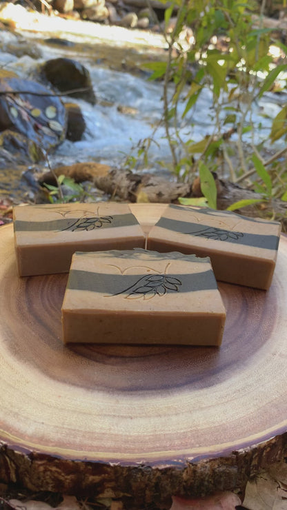 Pumpkin Spice Spa Bath Bar Soap - Green Tea Extract Collection